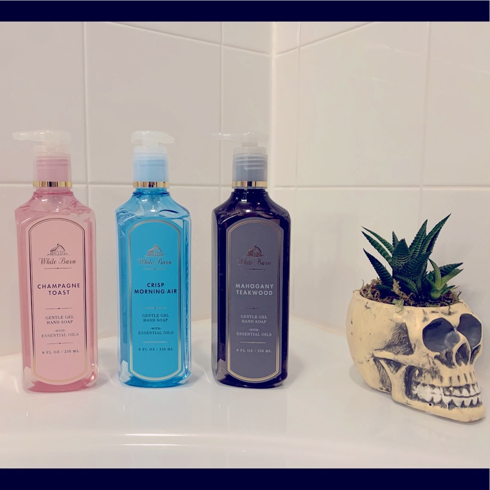 Bath & Body Works Hand Soap 🧼